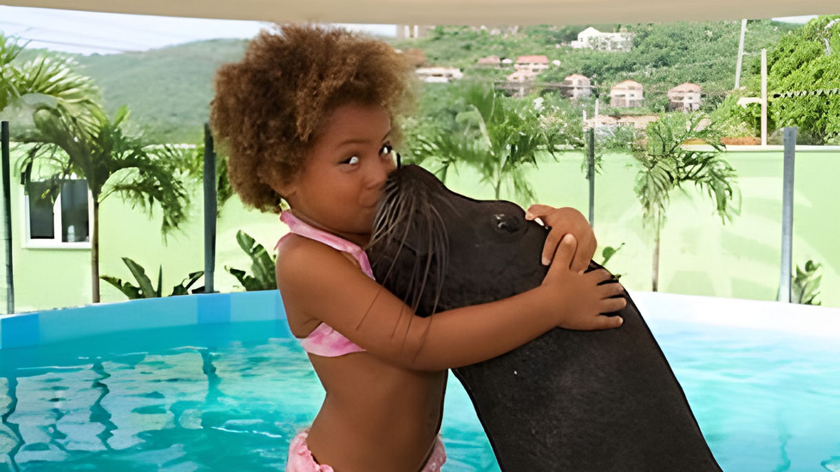 Coral World, Sea Lion Swim & Scenic Drive