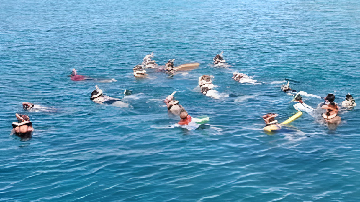 Shipwreck and Turtle Coves Two Site Snorkel