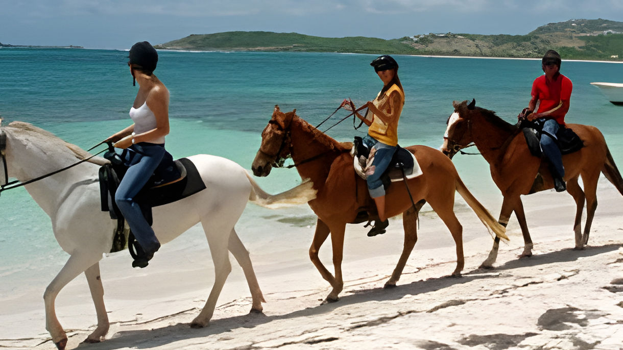 Trail & Beach Horseback Ride & Scenic Drive