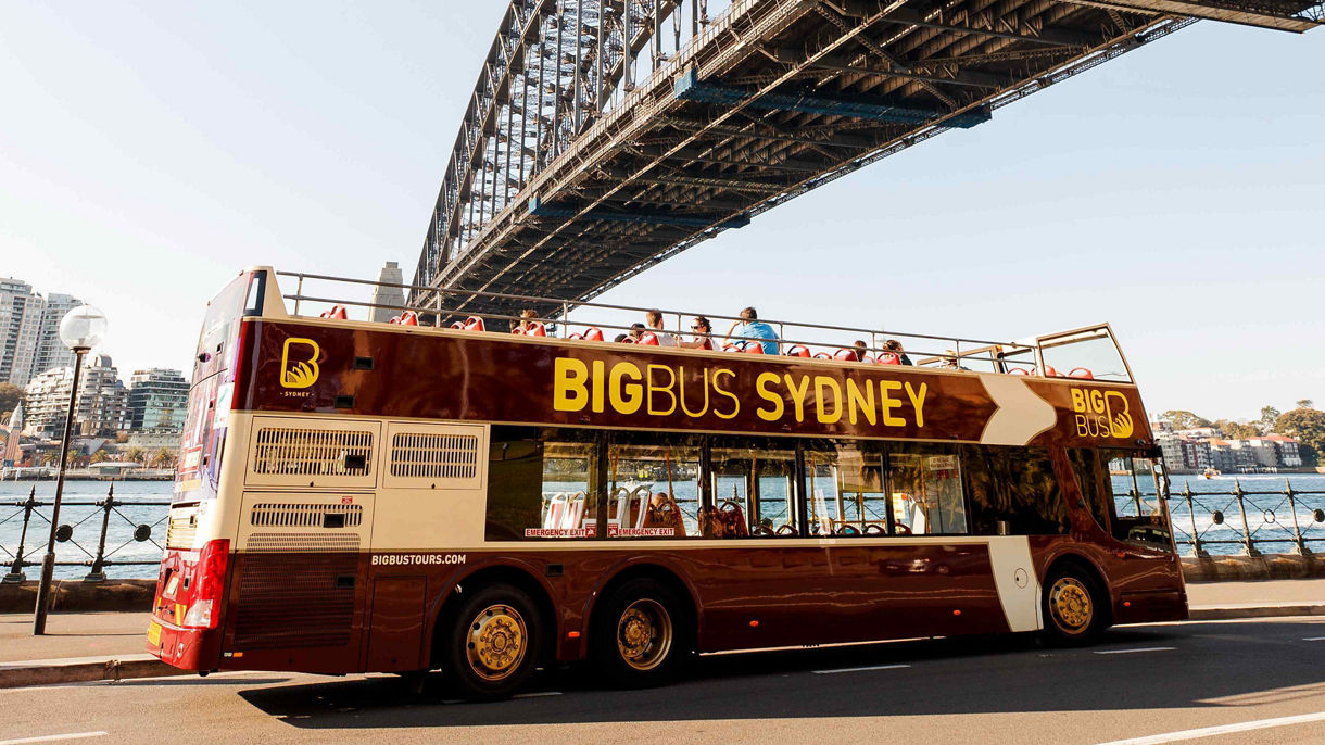 Hop On Hop Off Sydney - Discover 1 Day - In Transit
