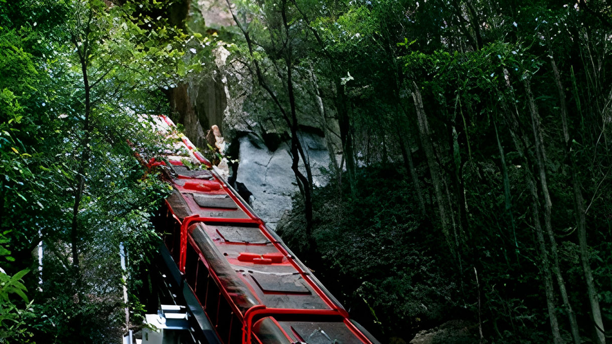Debark Tour - Spectacular Blue Mountains