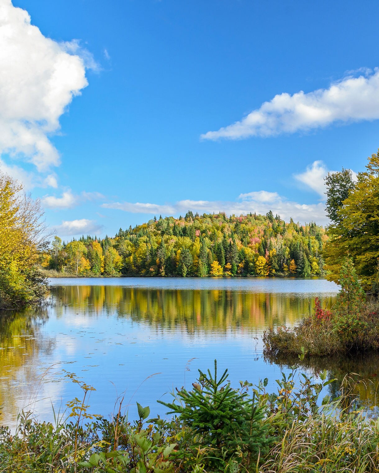 Quiet lake in Saguenay Fjord National Park bordered by colorful autumn trees, with reflections of red, yellow and green foliage on the water.