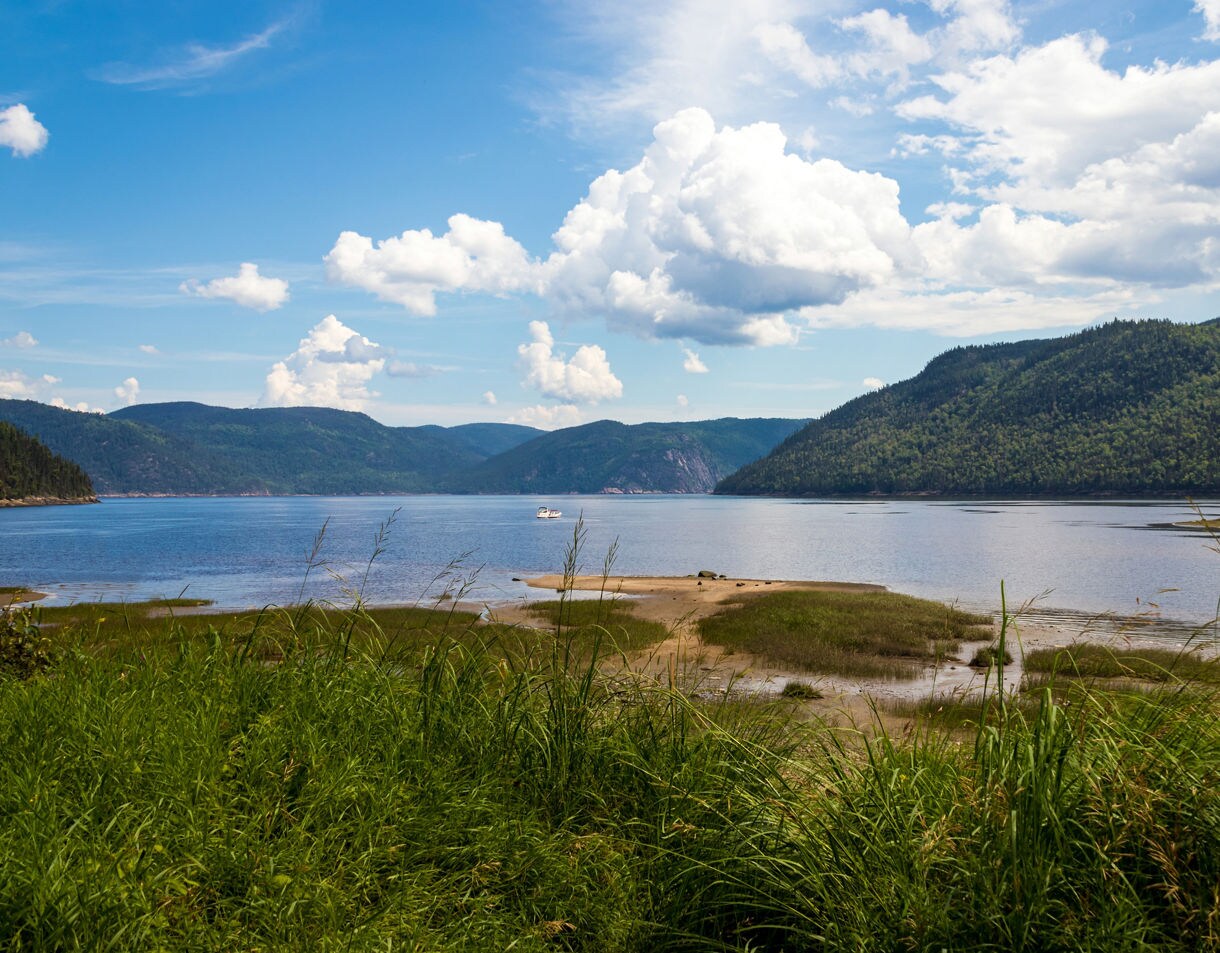 Wide view of the Saguenay River with grassy shoreline in the foreground, forested hills on both sides and a small boat on the calm blue water beneath large white clouds.