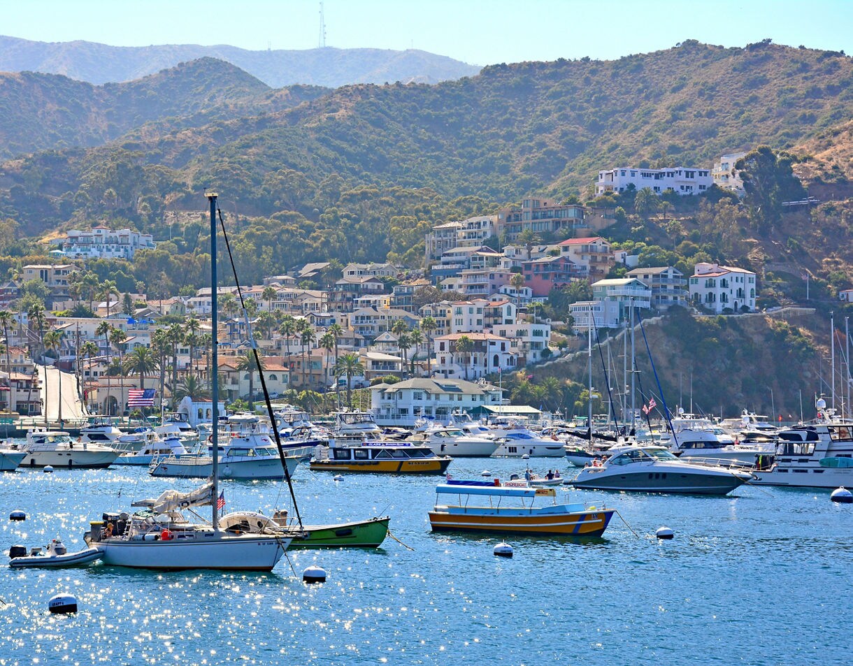 Sailboats and yachts anchored in a sparkling blue harbor with colorful hillside homes rising along Catalina Island’s steep terrain.