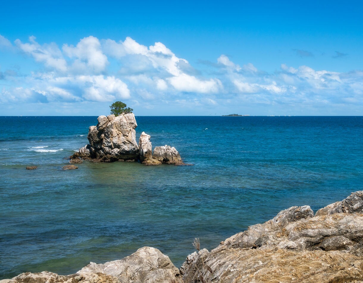 Rocky shoreline with a lone limestone formation topped by a small tree rising from shallow turquoise water, with deep blue ocean and scattered clouds in the distance.