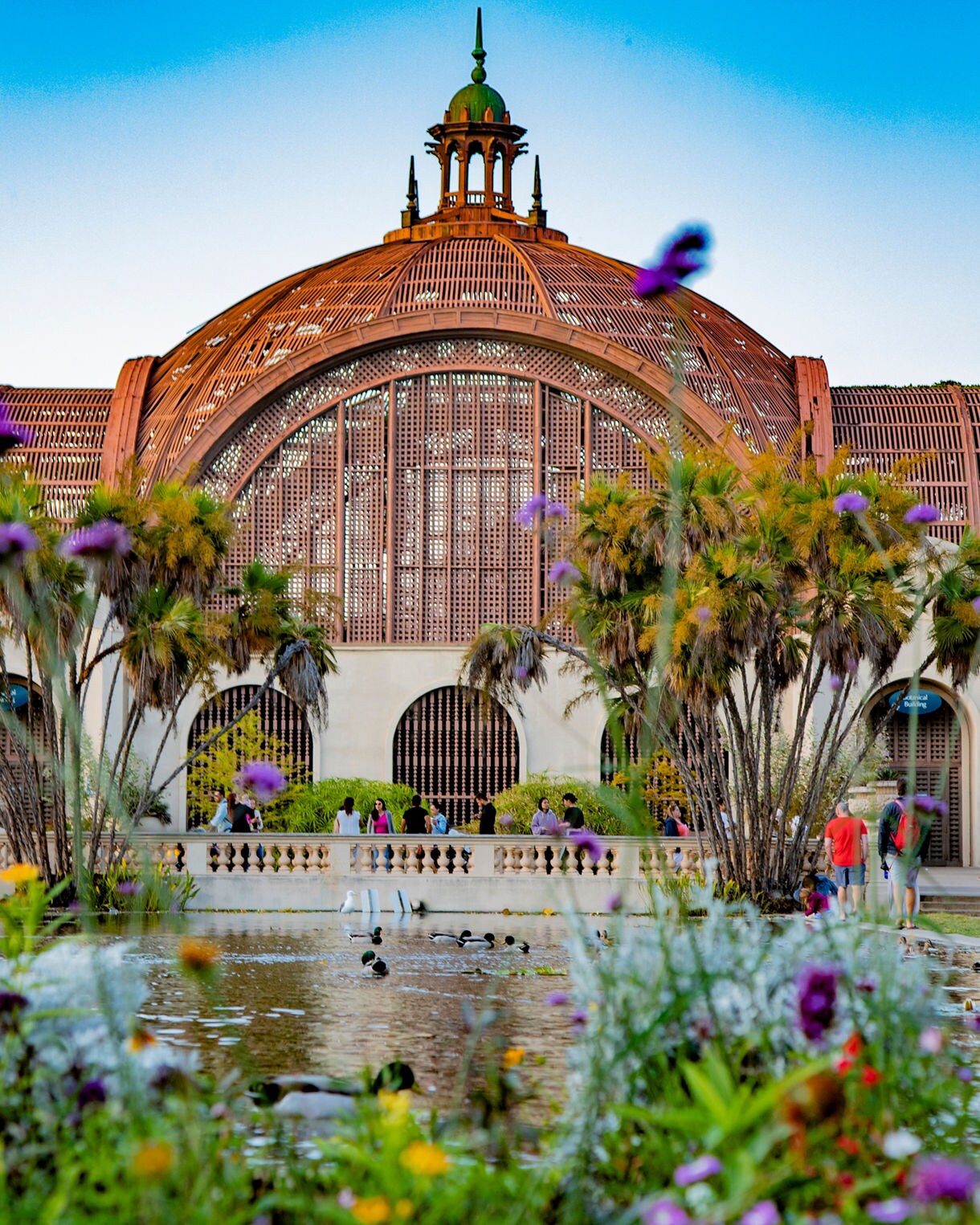 Balboa Park’s Botanical Building in San Diego with a domed wooden structure, palm trees, colorful flowers, and a pond with ducks in the foreground.