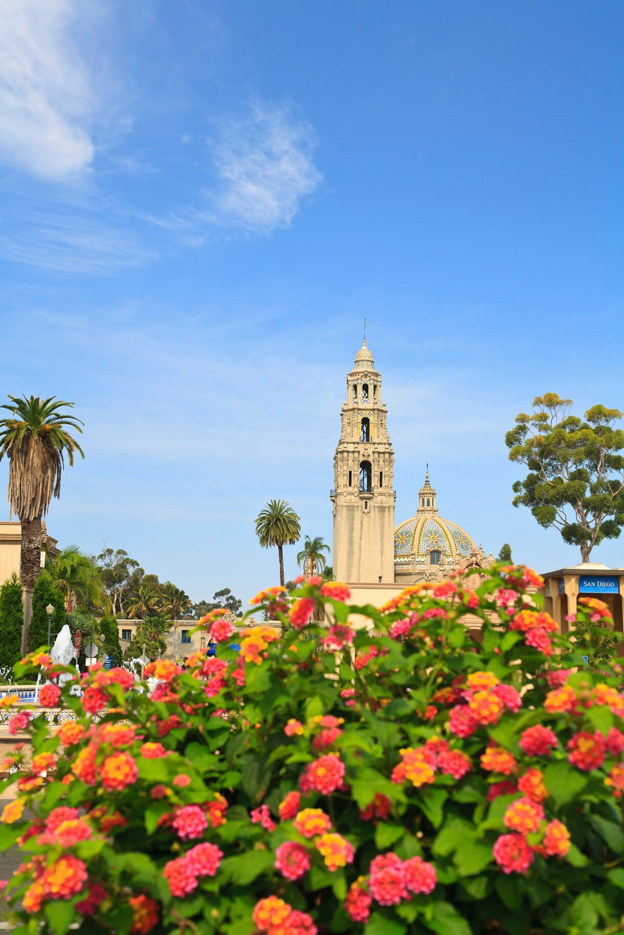 California Tower and domed building in Balboa Park, San Diego, framed by palm trees and colorful flowers under a bright blue sky.