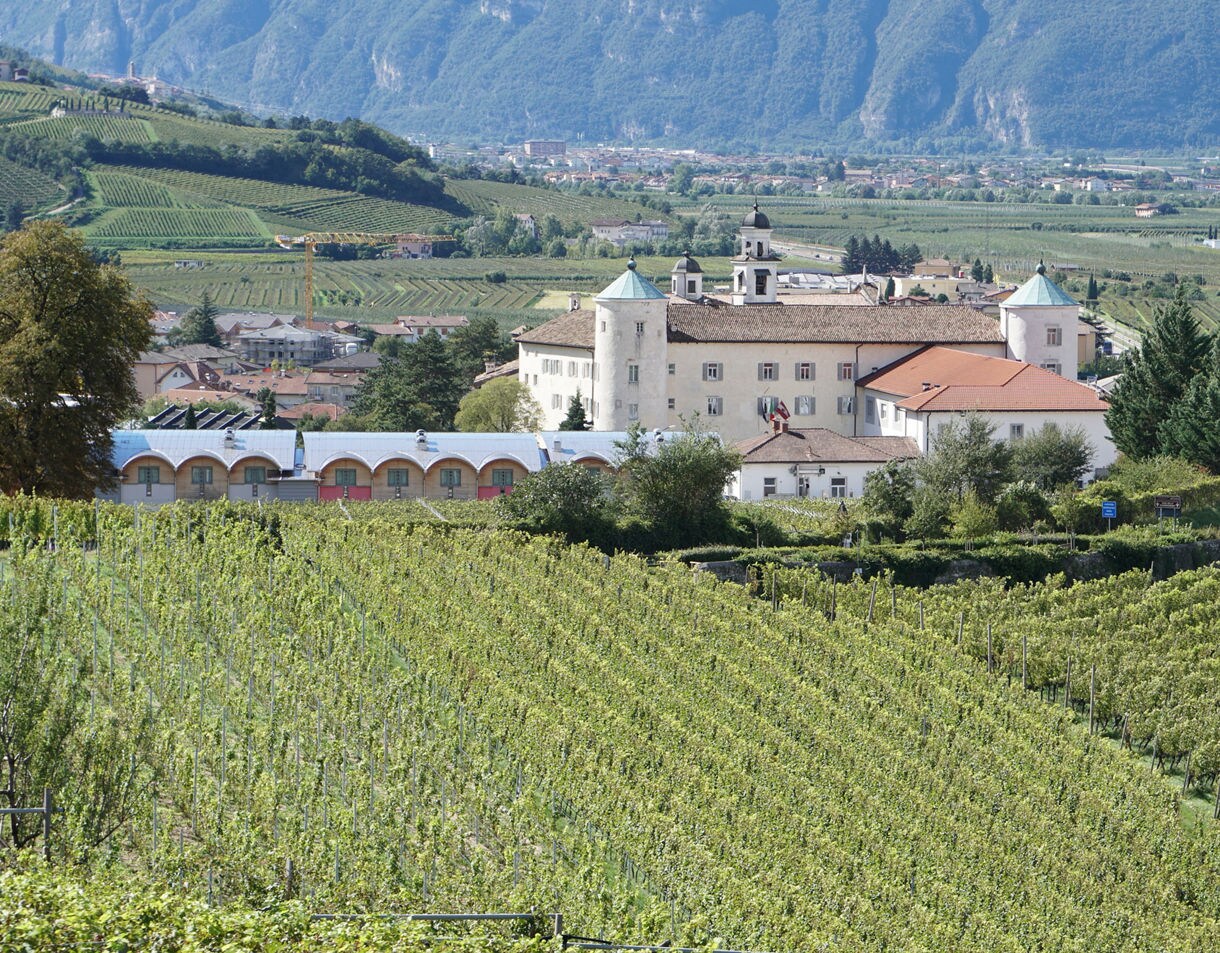 A grand estate with turreted towers surrounded by lush green vineyards, small village homes and distant mountain slopes under a clear sky.