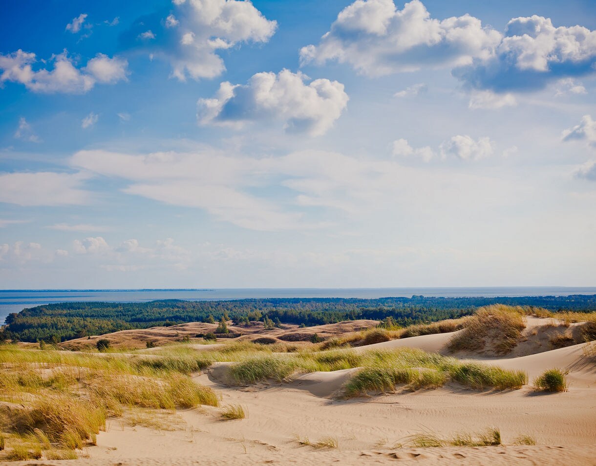 Expansive sand dunes with patches of grass overlooking the sea and forested coastline on the Curonian Spit.