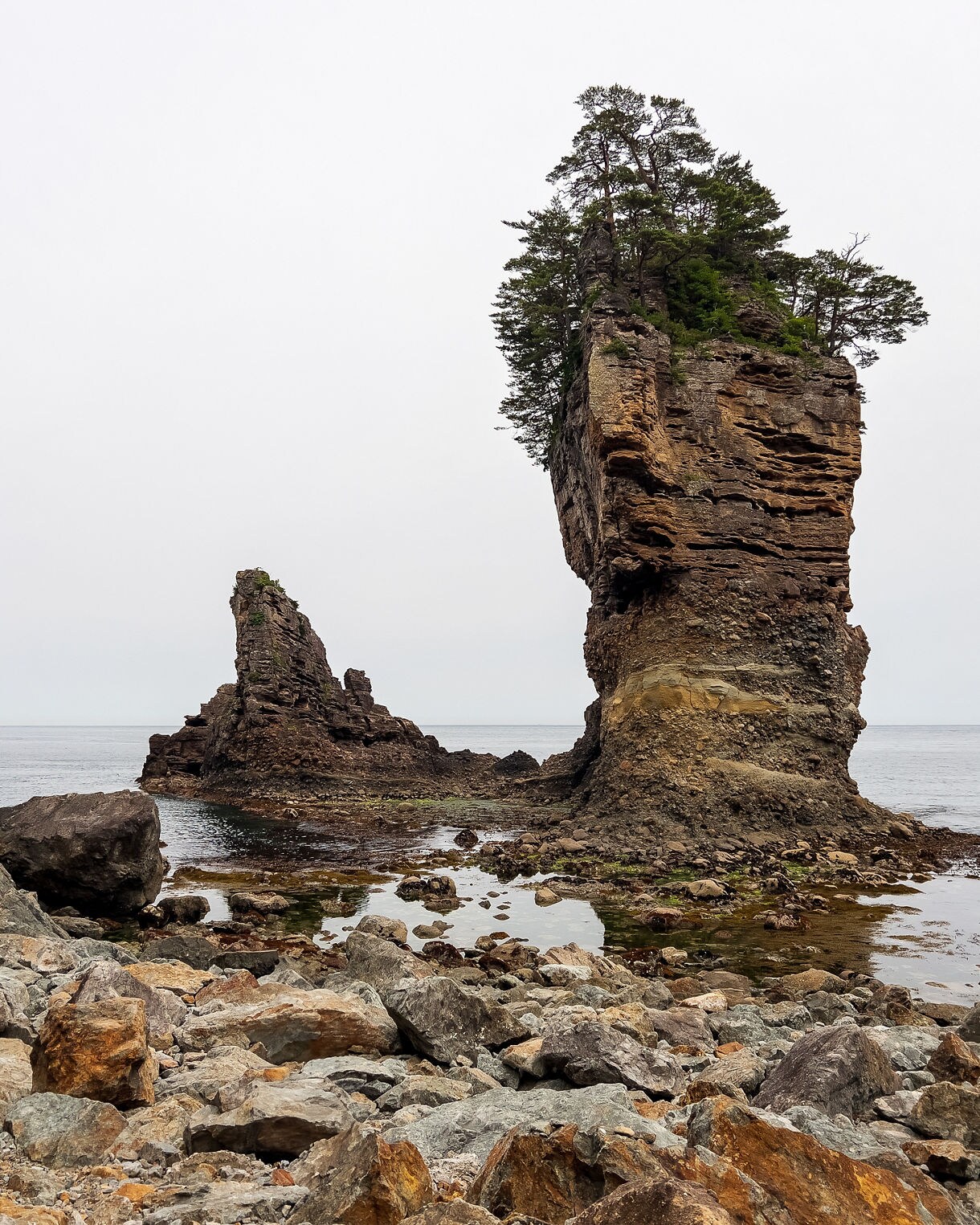  Rugged sea stacks at Sannoiwa in Japan, including a tall rock column topped with pine trees and a smaller jagged formation beside it, surrounded by tide pools and scattered shoreline stones under an overcast sky.