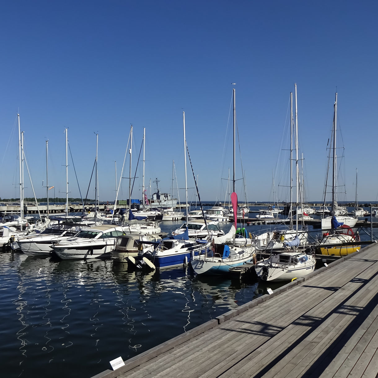 Marina at Tallinn’s Seaplane Harbour in Estonia, with rows of yachts and sailboats docked beside wooden piers on a calm, sunny day.
