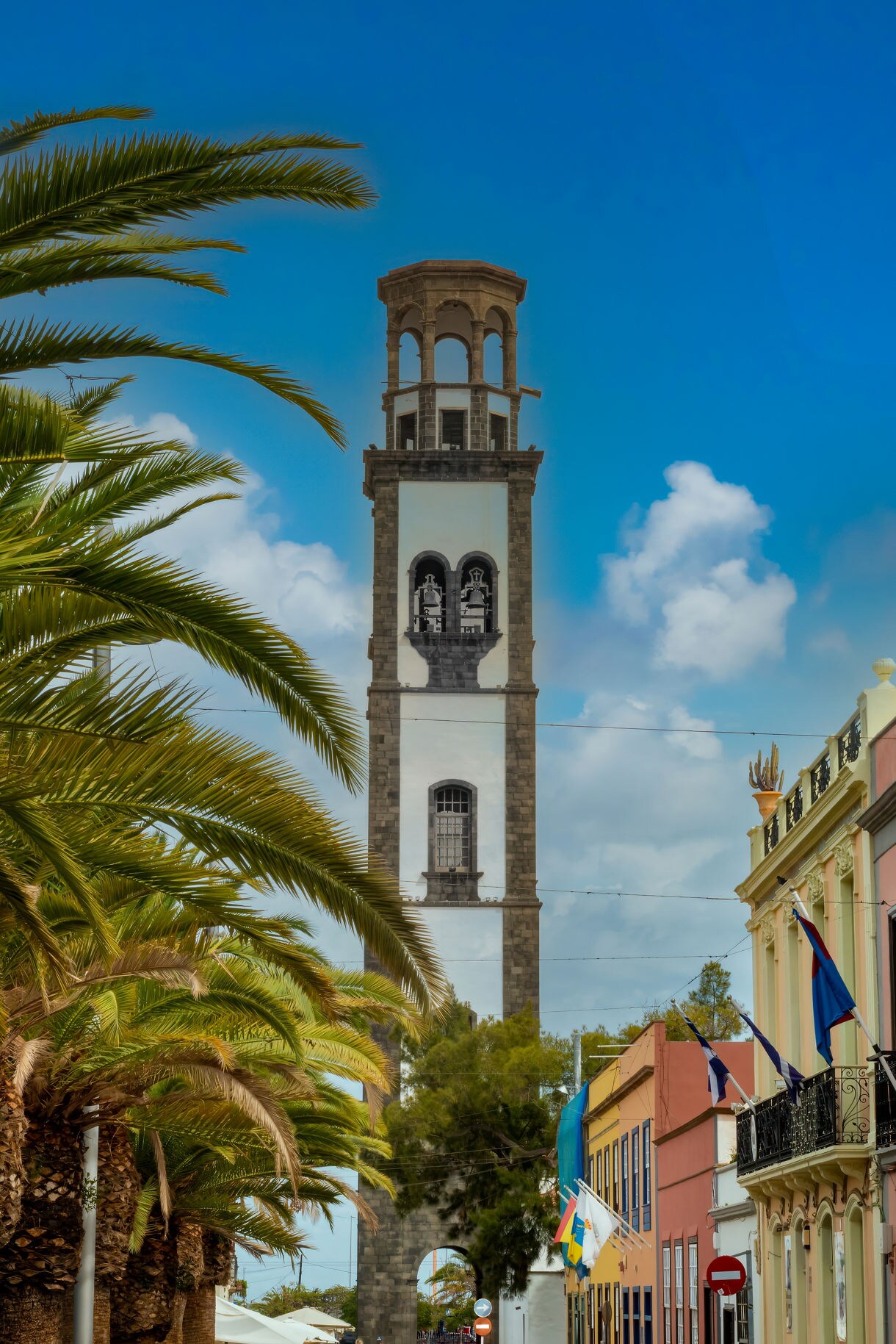 View of the Iglesia de la Concepción bell tower rising above palm-lined streets and colorful buildings in Santa Cruz de Tenerife under a bright blue sky.