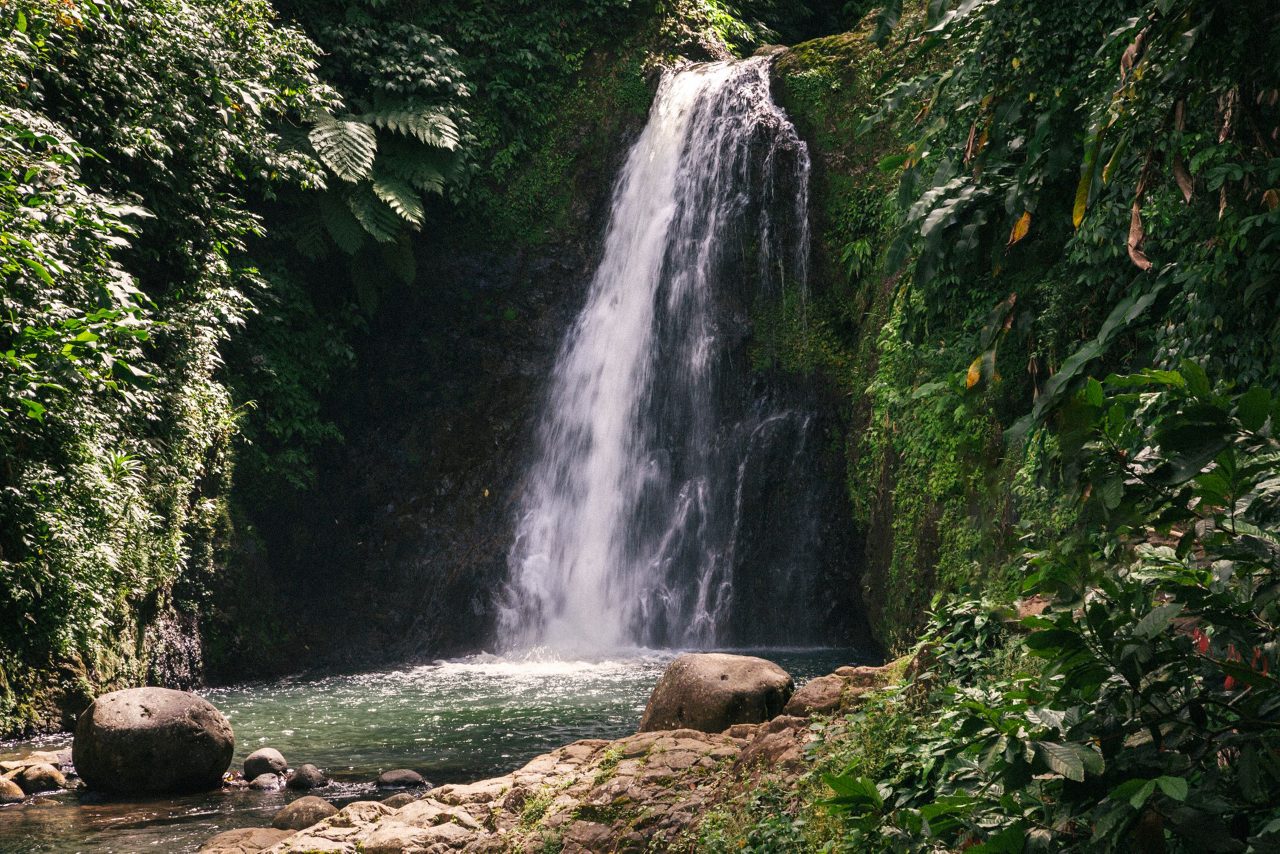 Grand Etang Park & Seven Sisters Waterfalls Hike