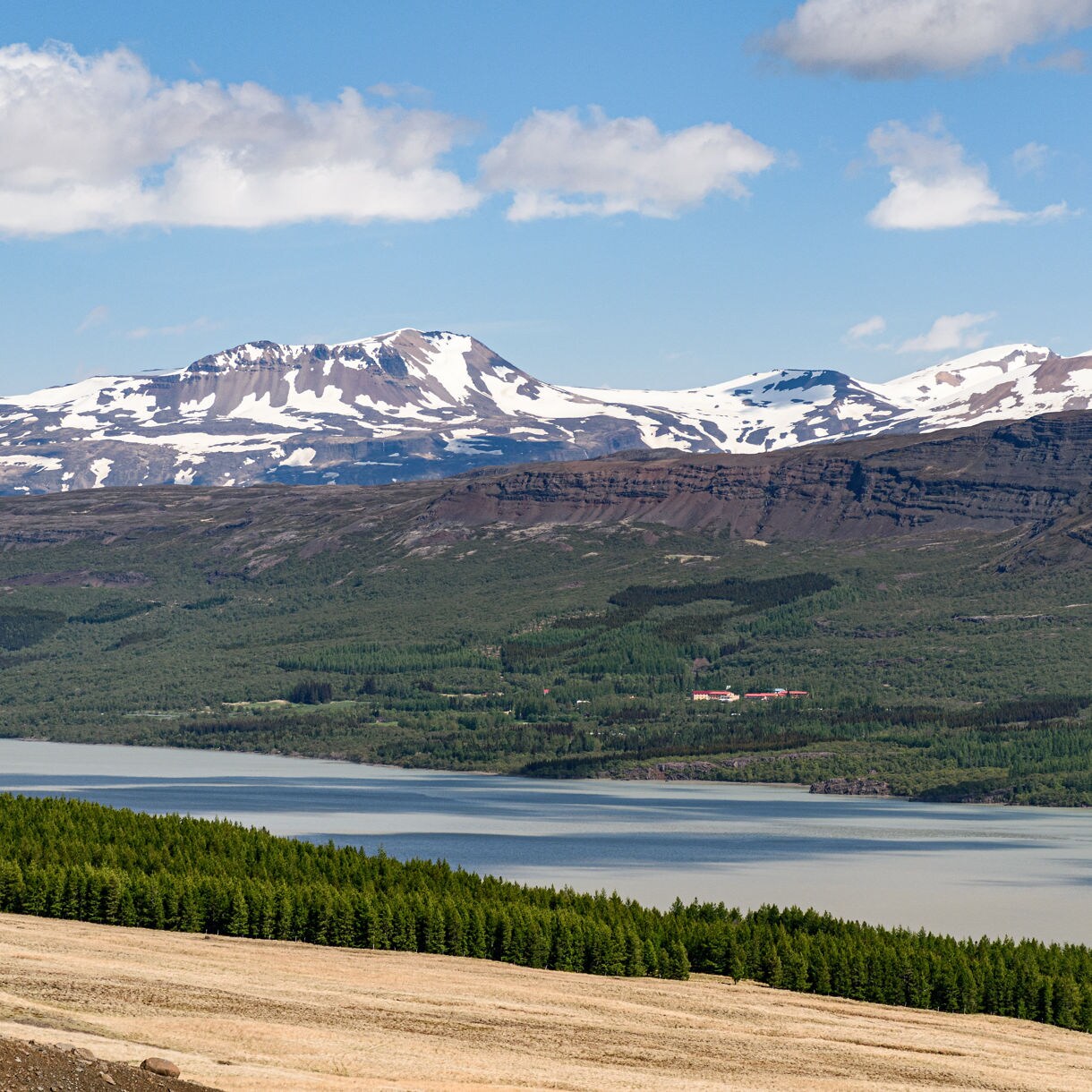 A high-angle landscape shot shows a long, glacial lake bounded by a green pine forest and expansive mountains with snow-patched peaks beneath a partly cloudy sky.