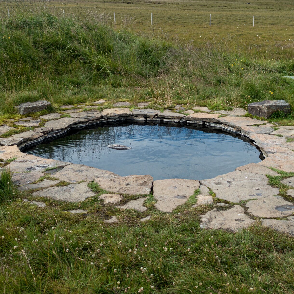 A circular, stone-lined geothermal pool filled with calm water rests in an open, grassy field under an overcast sky.