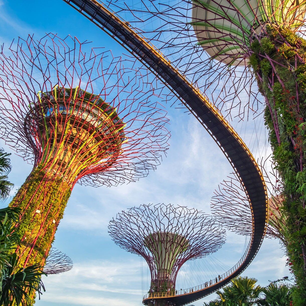 Towering Supertree structures with vertical gardens and a skywalk bridge at Marina Bay in Singapore.