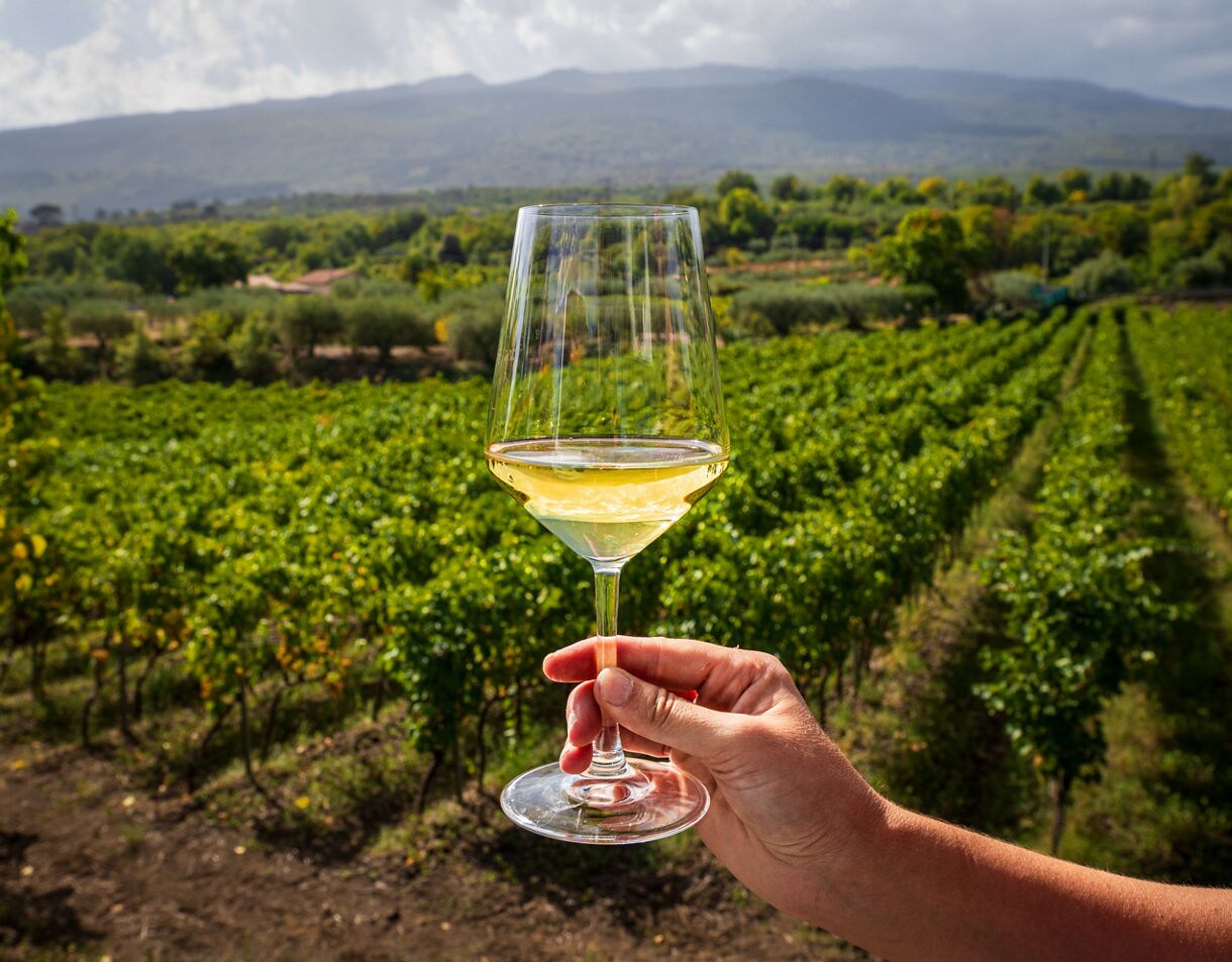 Close-up of a hand holding a glass of white wine with neat rows of green vineyard vines and distant tree-covered hills blurred in the background under a partly cloudy sky.