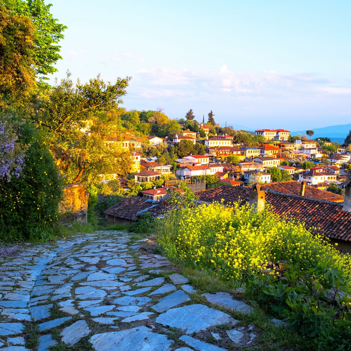 Shaded stone pathway lined with potted plants and climbing vines, passing rustic stone houses with wooden shutters in a quiet village.