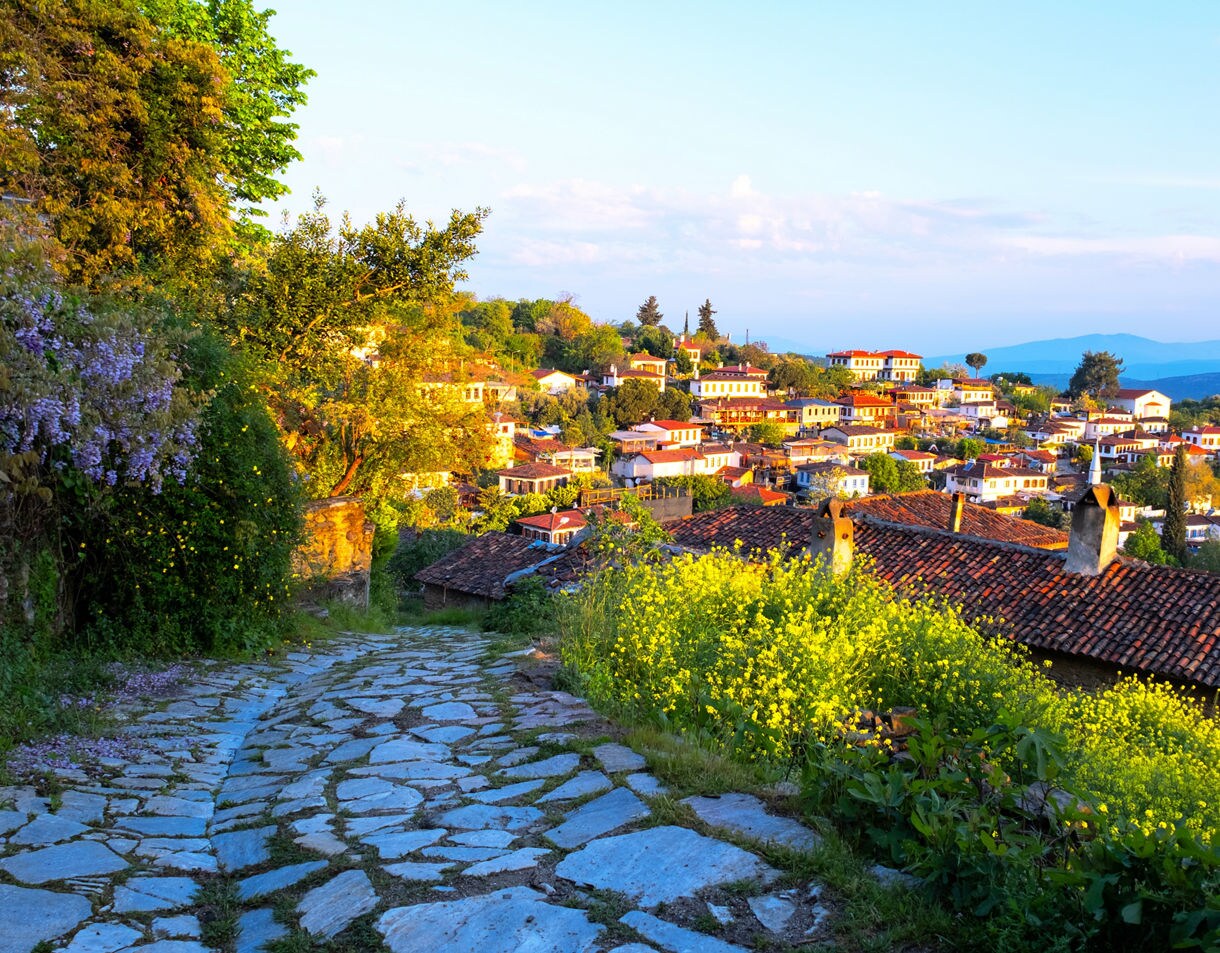 A stone path lined with flowers leading toward a hillside village of white houses with red roofs, surrounded by greenery in warm evening light.