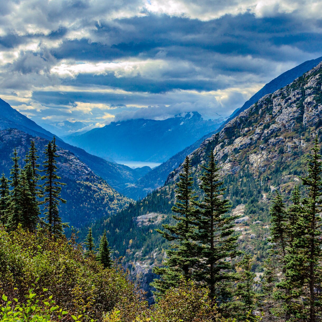 A sweeping panoramic view of a dramatic mountain valley near Skagway, Alaska, with tall evergreen trees in the foreground, layered blue mountain ridges receding into the distance and moody storm clouds overhead.
