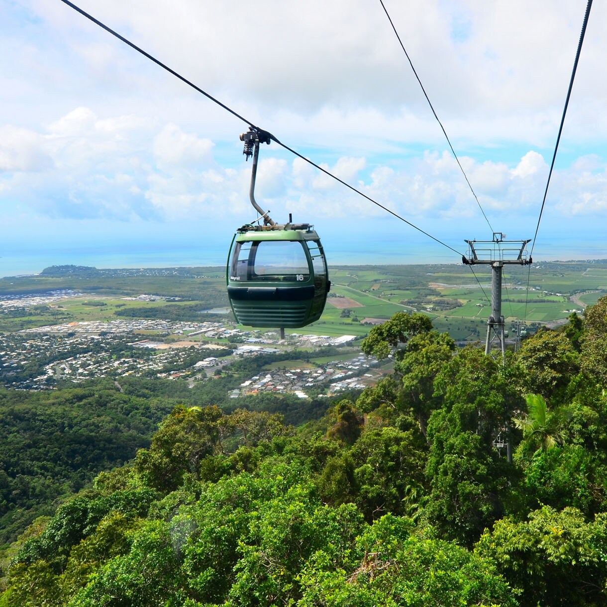 A green cable car gliding above dense rainforest with sweeping views of Cairns, coastline and the Coral Sea beyond.