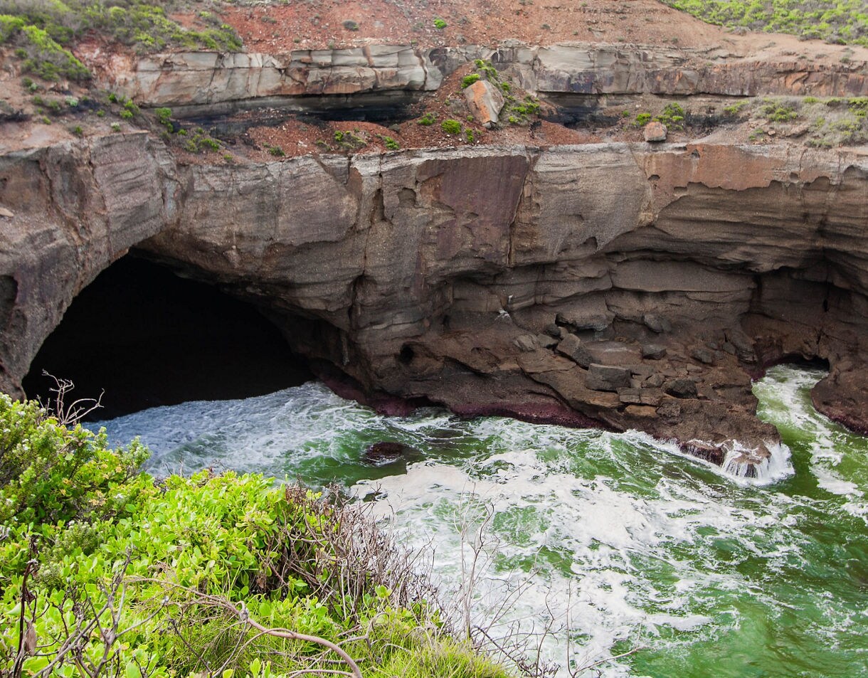 Ocean waves churning inside rocky coastal caves surrounded by steep cliffs and patches of green vegetation.