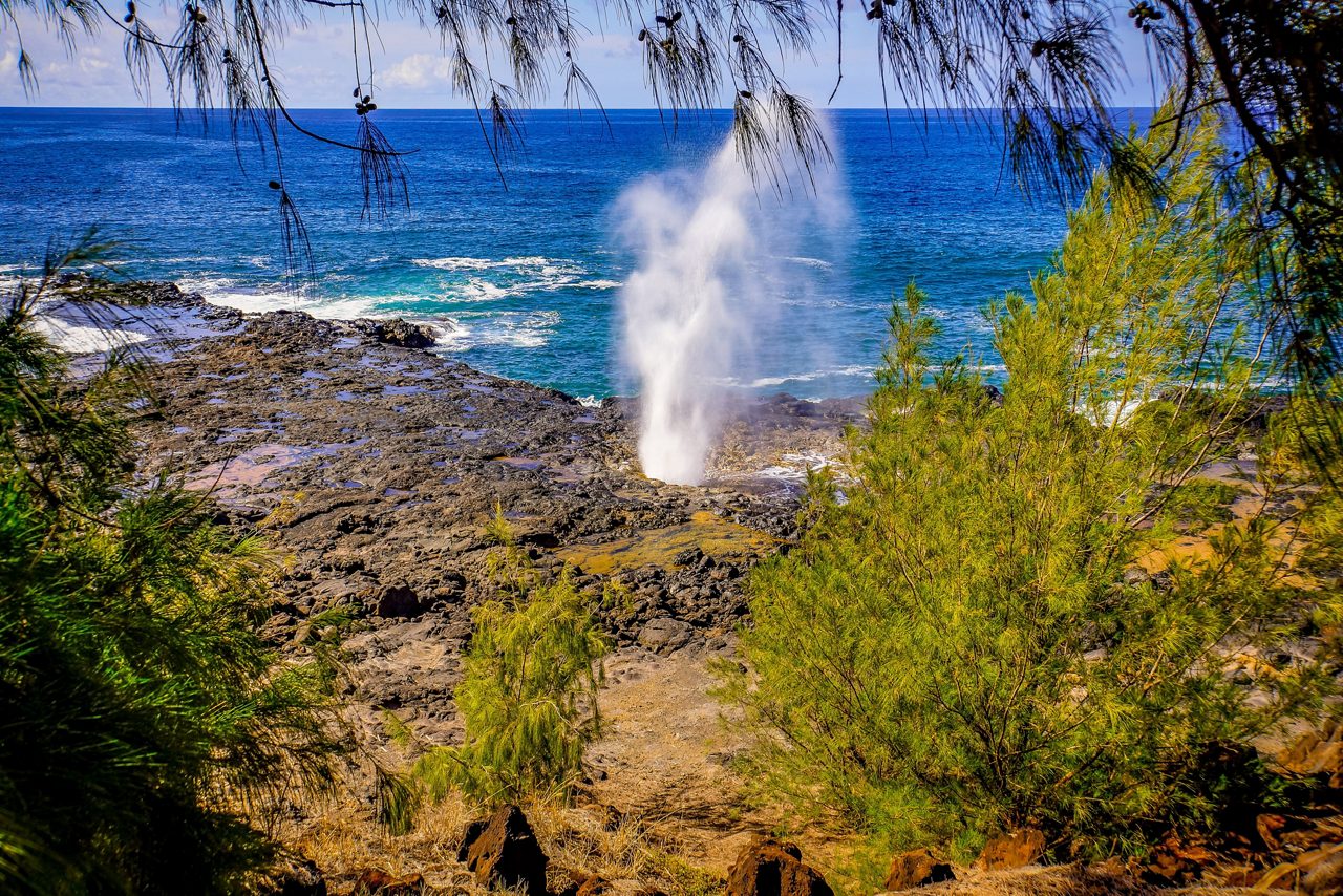 Ocean geyser at Spouting Horn in Kauai shooting water high into the air through a lava rock formation, surrounded by coastal vegetation.