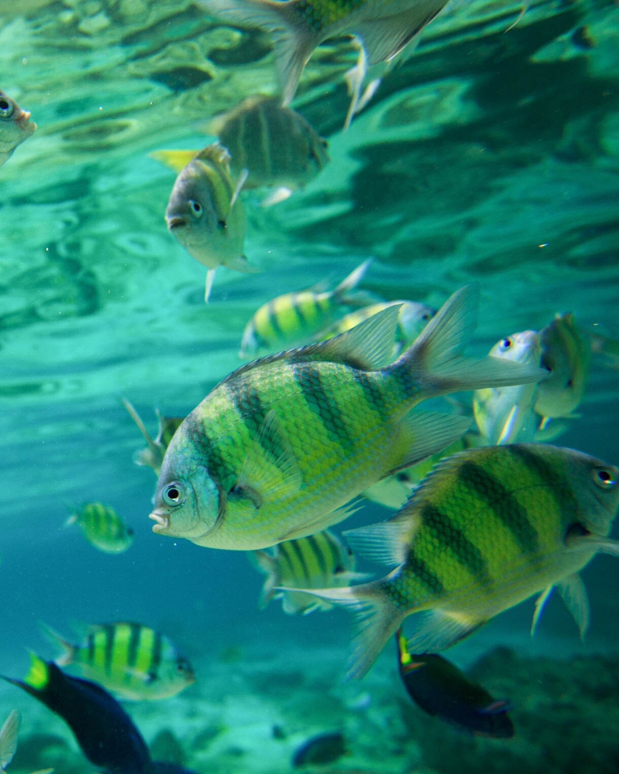 Last minute cruise deals