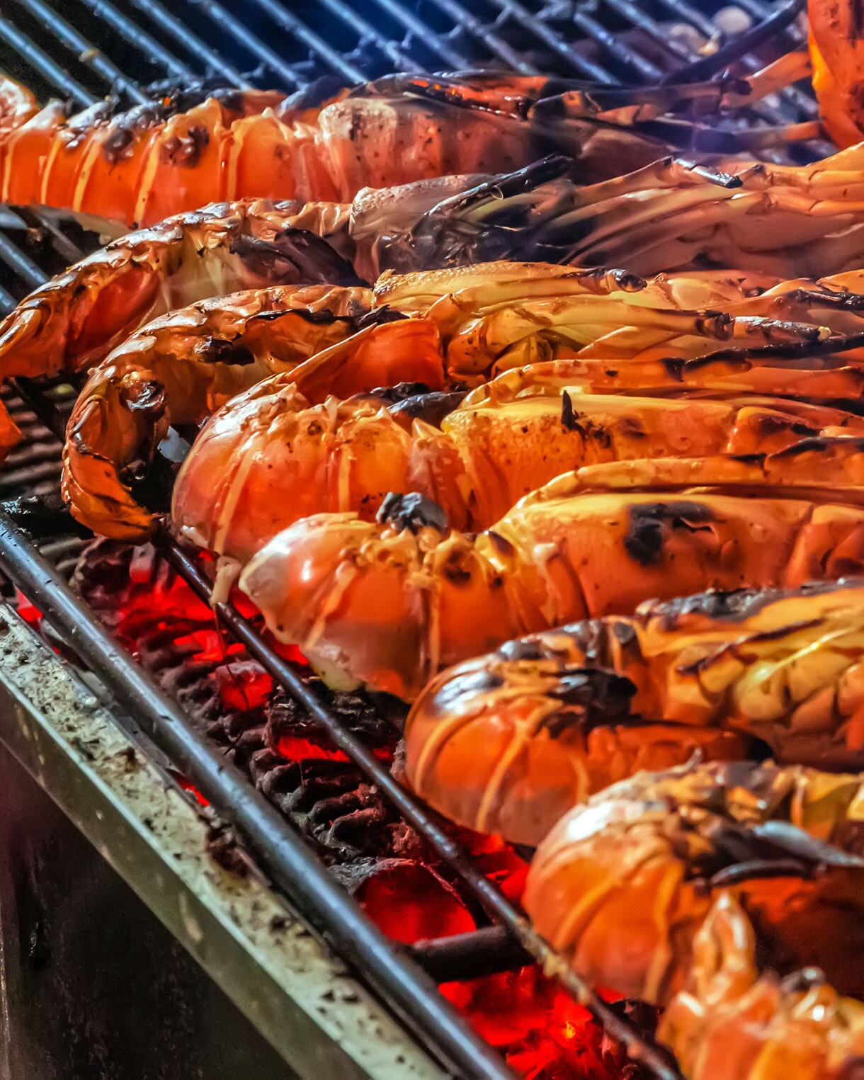  Close-up of several lobsters grilling over red-hot coals, their shells turning bright orange with charred edges and rising smoke.