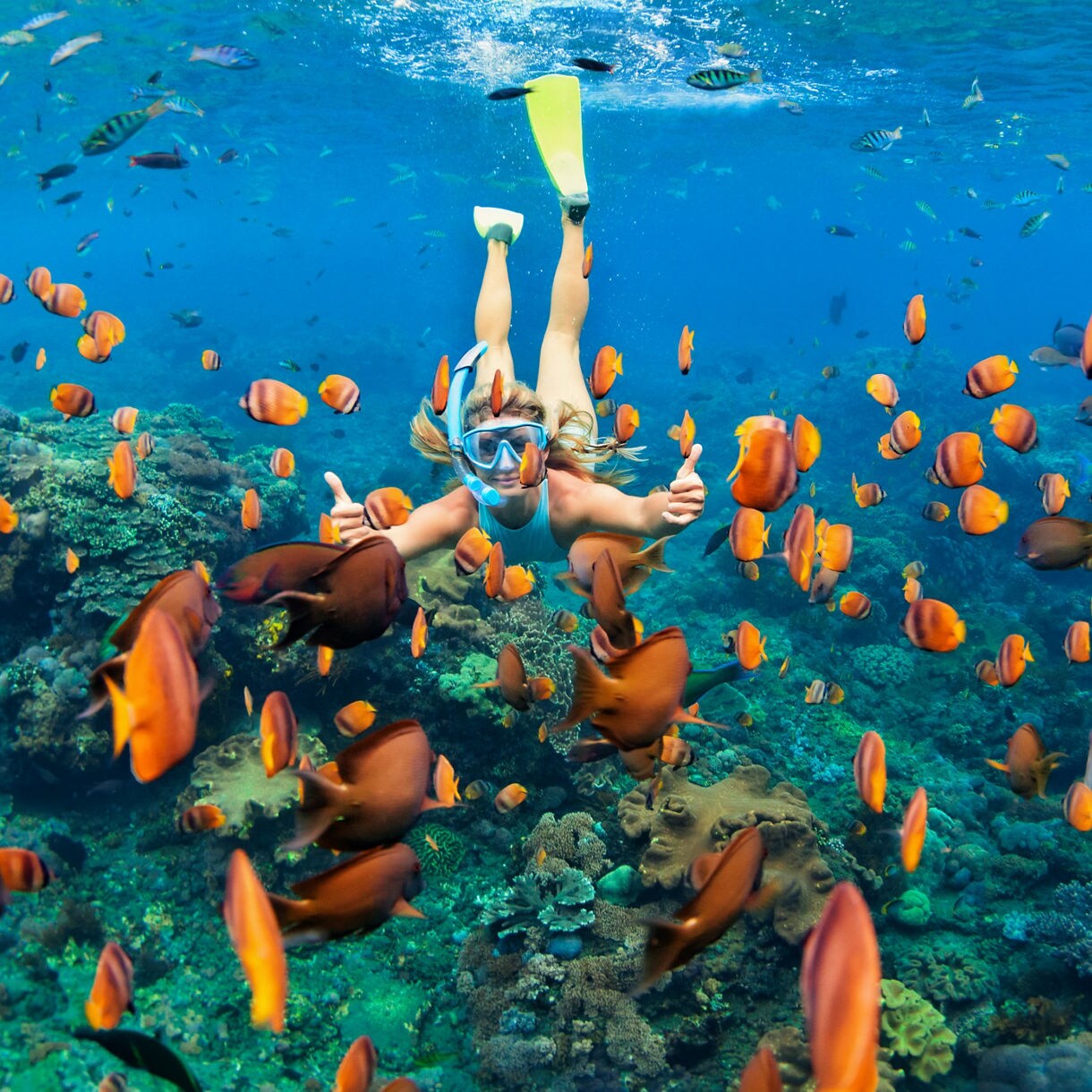 A woman wearing snorkeling gear swims underwater above a colorful coral reef, surrounded by numerous orange fish. The scene is set in clear blue tropical waters, highlighting the vivid marine life and healthy coral formations. The mood is adventurous and lively, with bright, saturated colors dominating the image. The swimmer appears to be enjoying an immersive aquatic experience.
