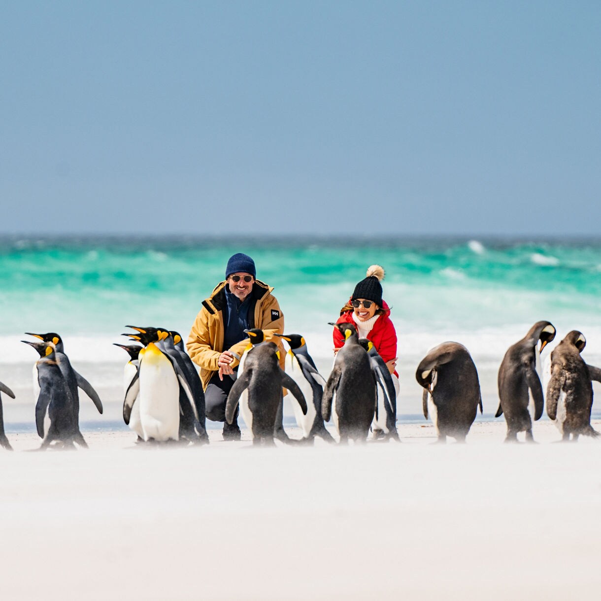 A group of king penguins walks across a white sandy beach with two adults sitting nearby, observing and photographing the birds. The setting is a coastal area with turquoise ocean waves and a bright, overcast sky. The scene conveys a sense of adventure and wildlife appreciation, with the people dressed in warm outdoor clothing. The penguins are the main focus, creating a lively and natural atmosphere.