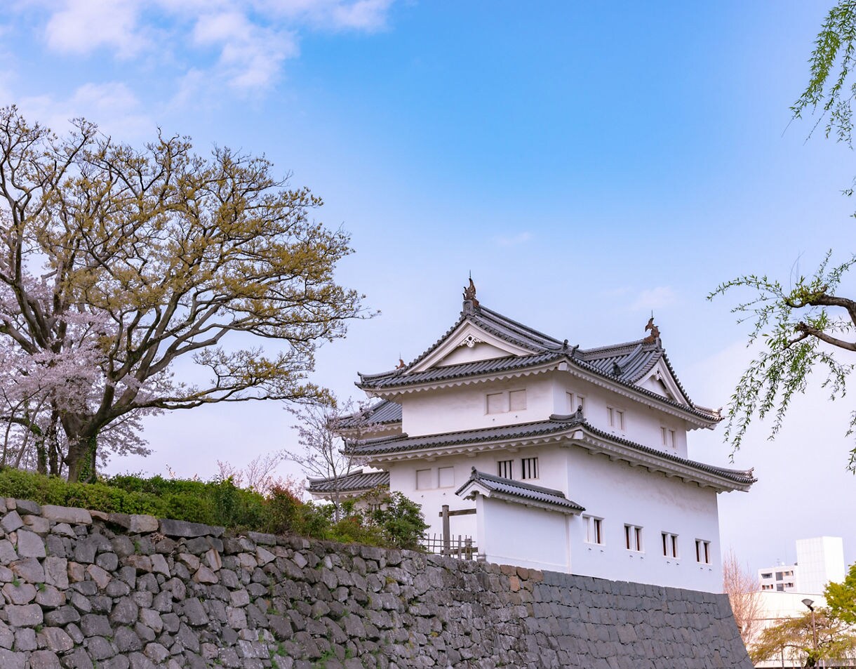 Traditional white Japanese castle tower with tiled roofs rising above a stone wall, surrounded by blooming cherry trees and fresh spring foliage under a soft blue sky.