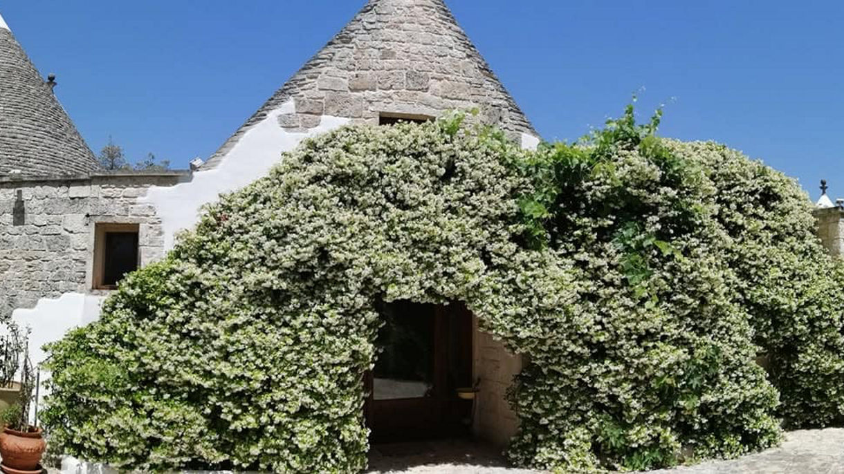 Easy Apulia - Countryside drive and Tasting