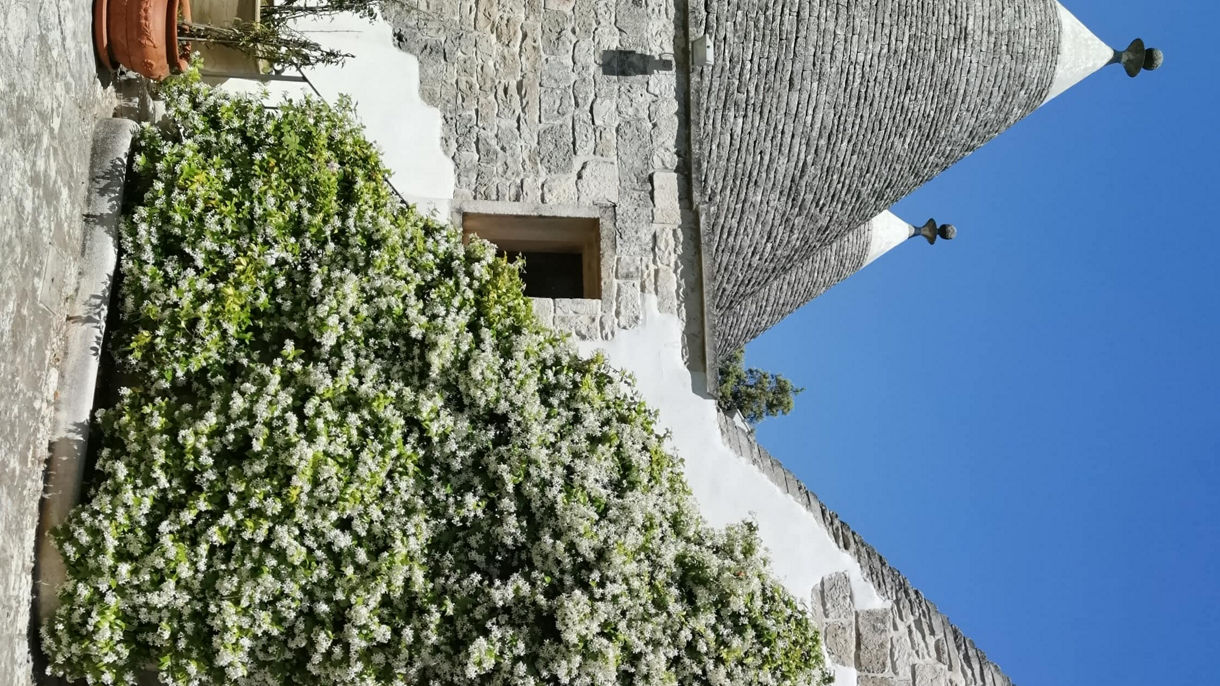 Easy Apulia - Countryside drive and Tasting