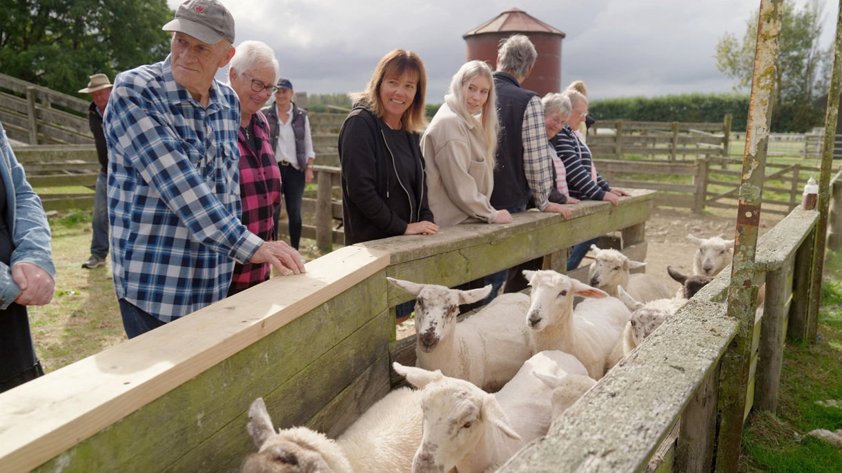 Geraldine Farm Tours