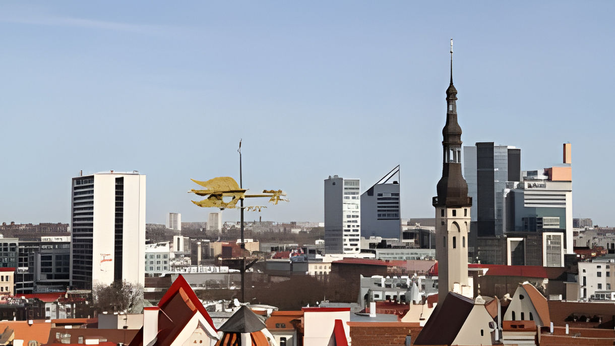 Tallinn by Private Vehicle Van Class Full Day with Driver & Guide