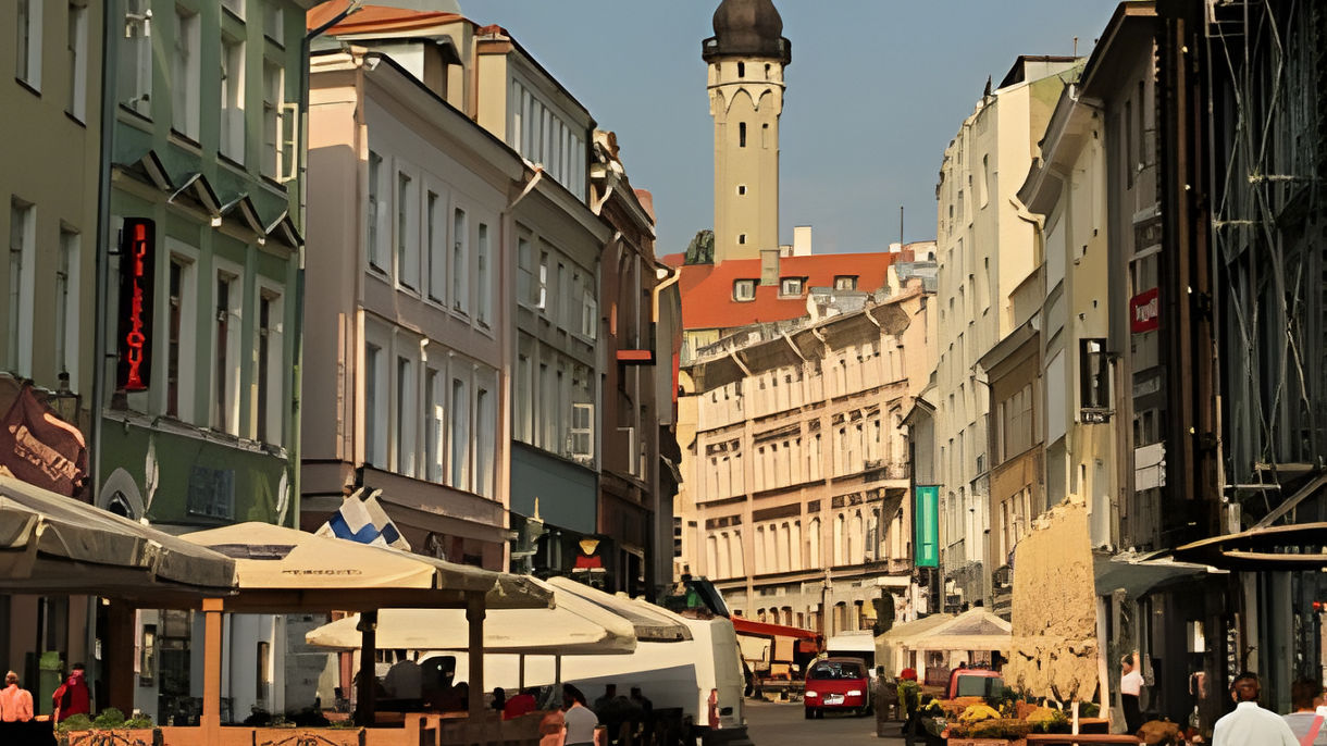 Tallinn by Private Vehicle Van Class Full Day with Driver & Guide