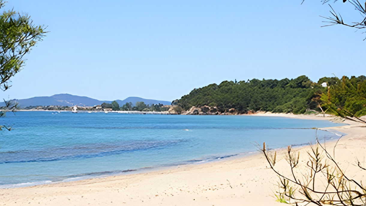 Bormes-les-Mimosas
