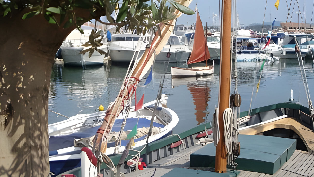 Castellet and Bandol Wine Tasting