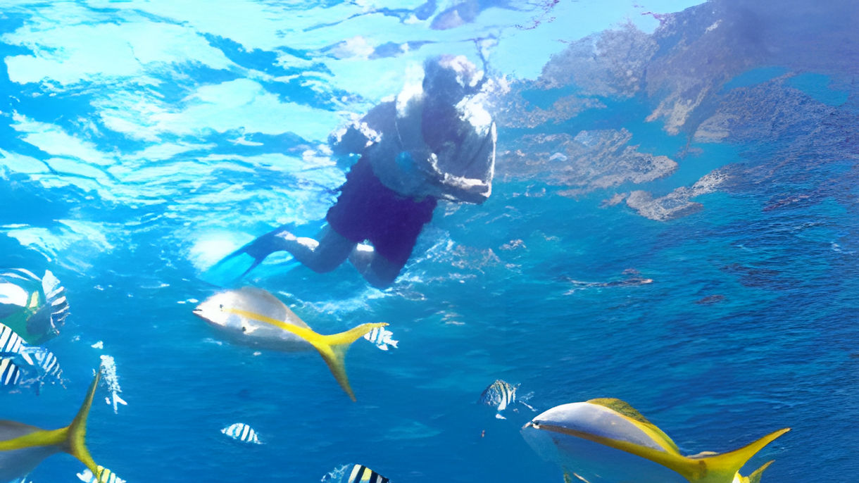 Snorkel, Swim, Beach & Scenic Cruise