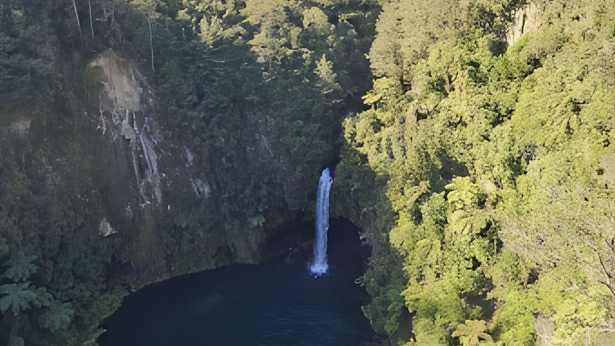 Discover the Magic of Omanawa Falls