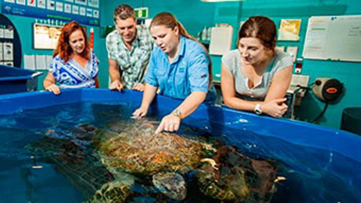 Essence of Townsville - Small group