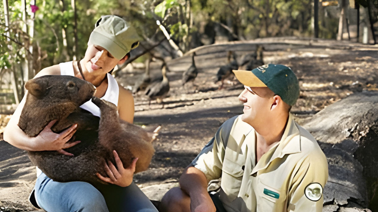 City Drive & Billabong Sanctuary