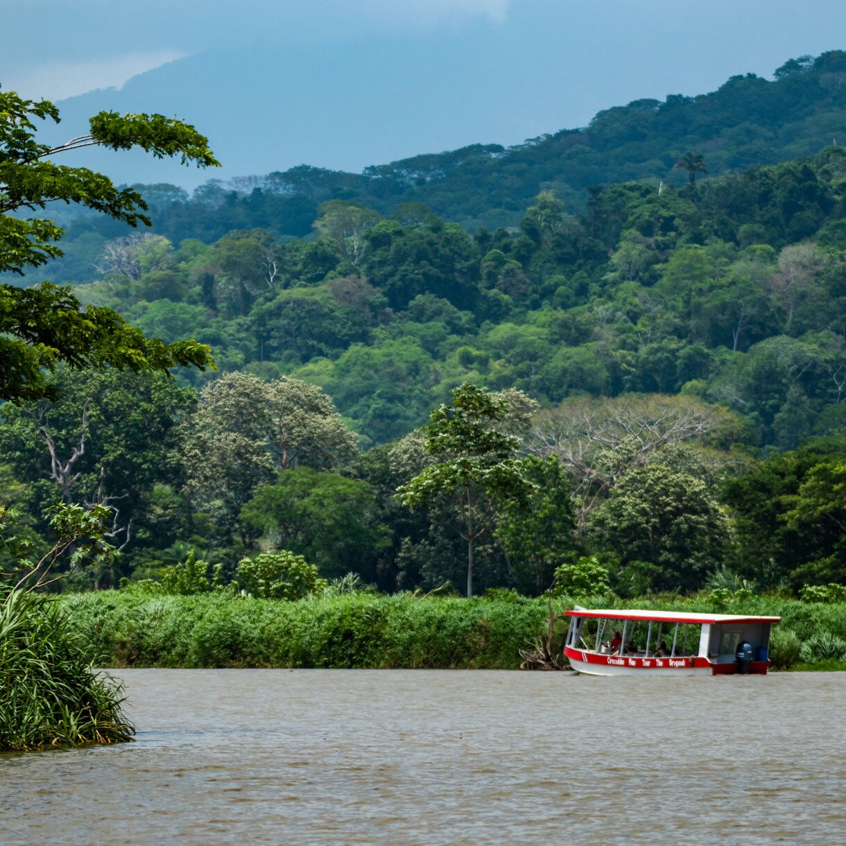 Person zip-lining through dense green rainforest in Costa Rica, wearing safety gear and helmet.