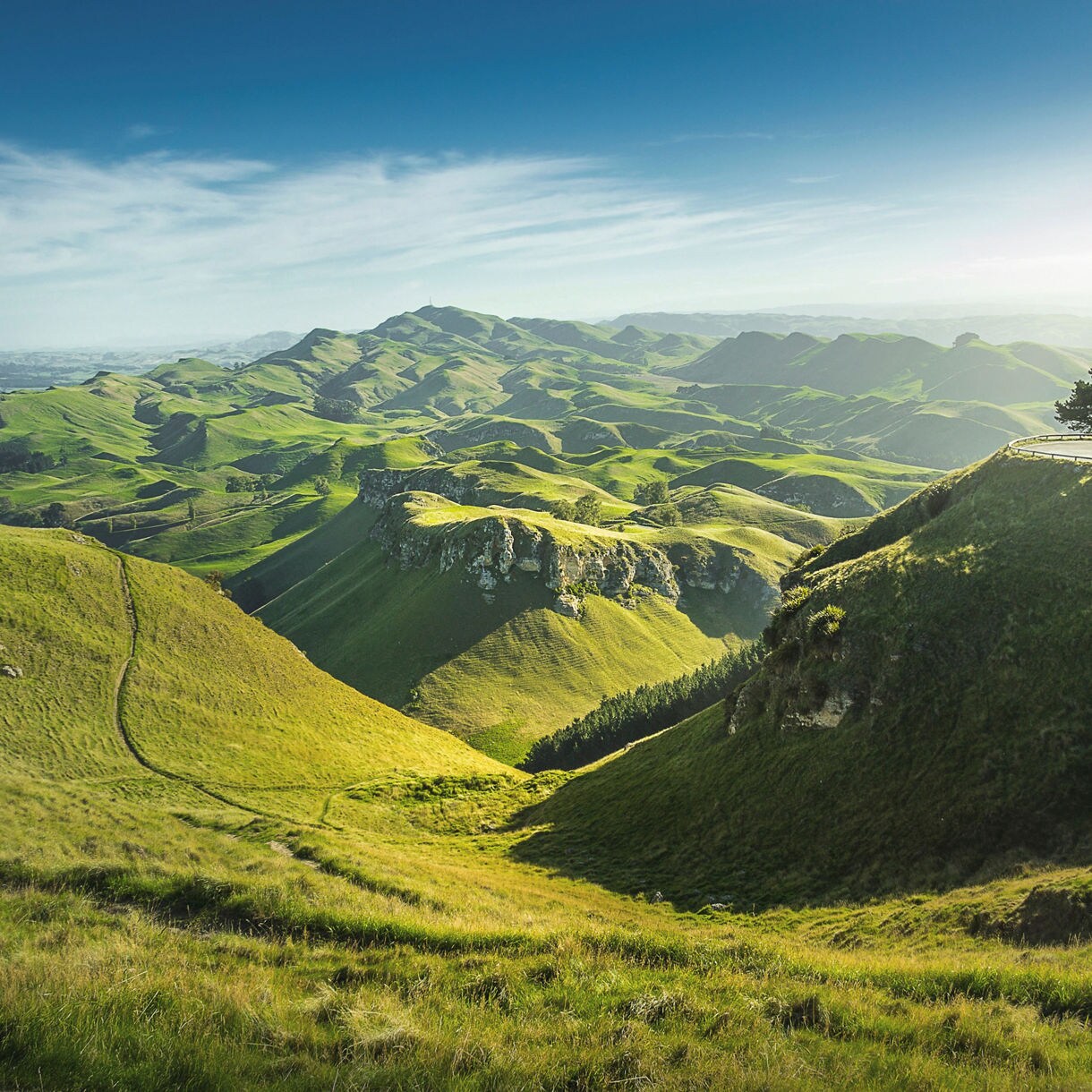Sunlit green hills stretch into the distance beneath a clear sky, with a lone lookout point and tree perched on a high ridge.