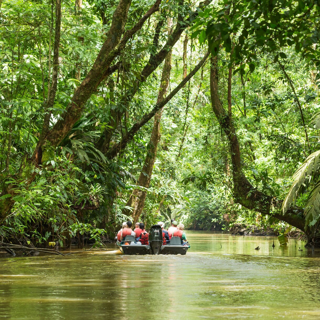 Small boat with passengers in life jackets navigating through lush green rainforest canals in Tortuguero, Costa Rica.
