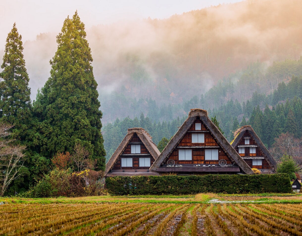 Three steep-roofed wooden houses framed by tall evergreens and low rolling fog with harvested fields stretching across the foreground.