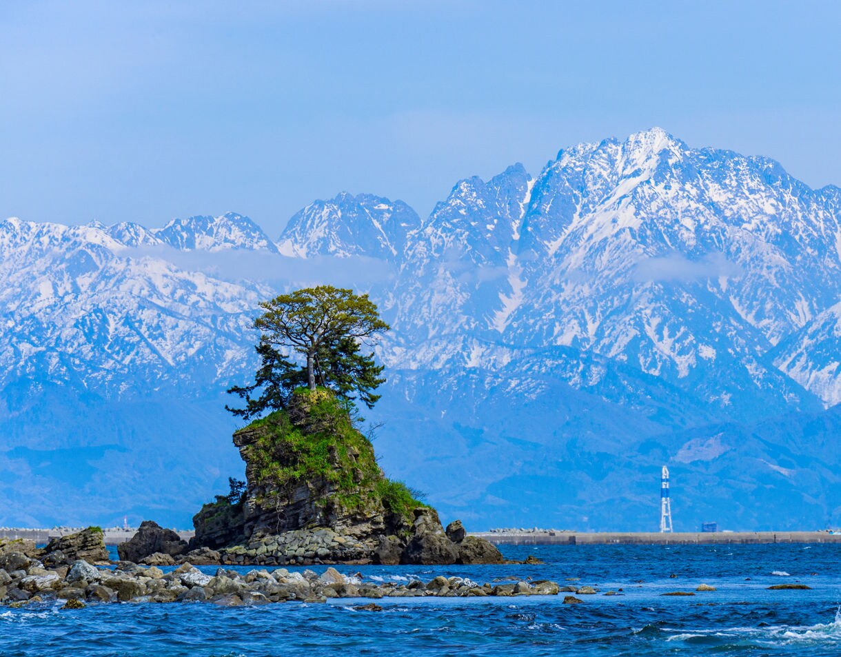A small tree-topped rocky island rising from blue coastal water with a vast snow-covered mountain range towering across the horizon.