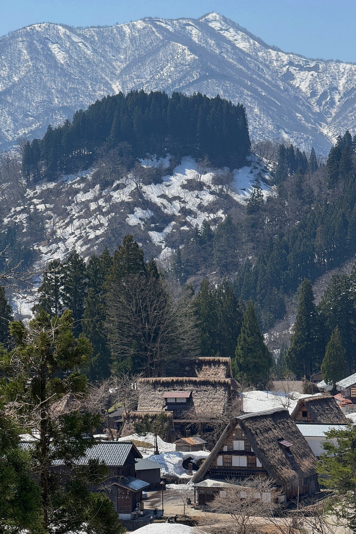 Traditional gassho-style houses clustered among tall evergreens with patches of snow covering the village and a dramatic mountain ridge towering behind.