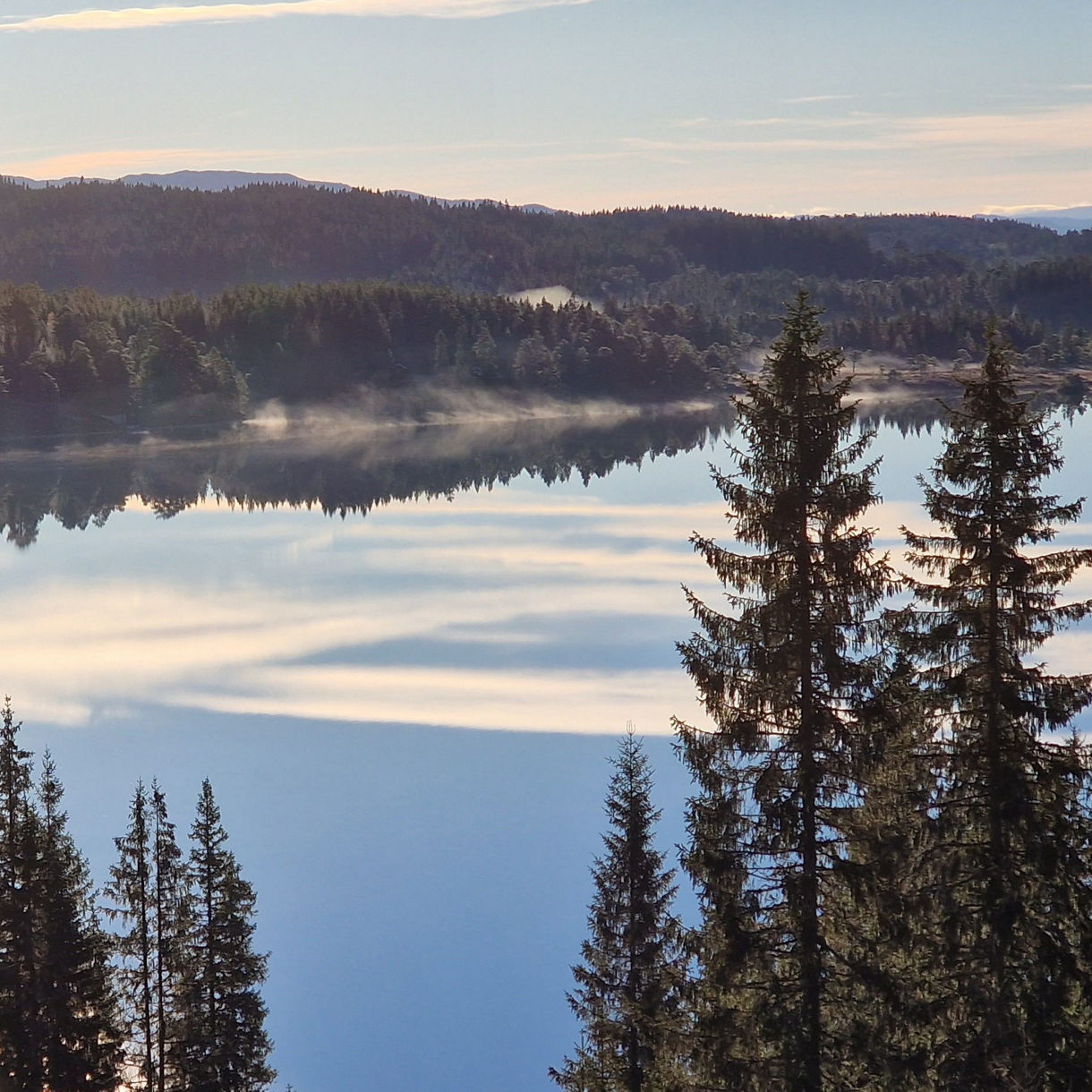 Mist rises gently over Lake Bymarka near Trondheim, surrounded by dense pine forests with clear reflections in the calm water.